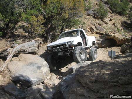 Billings0035