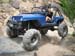 Billings0243