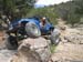 Billings0306