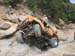 Billings0333
